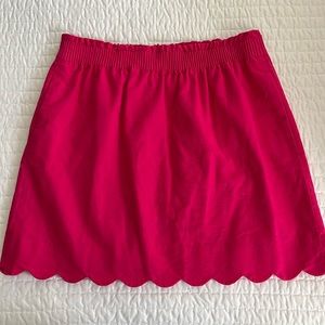 J.Crew Factory Skirt